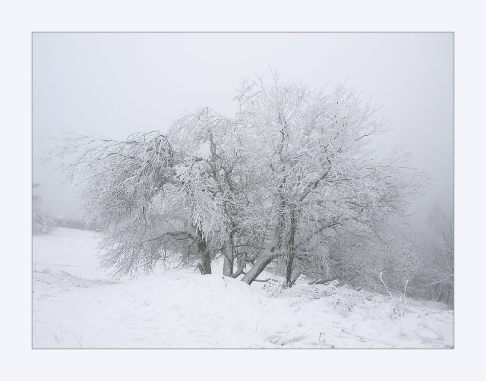 Winterwelt