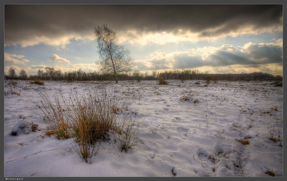 Winterwelt