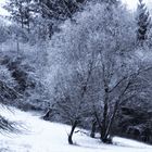 Winterwelt 2