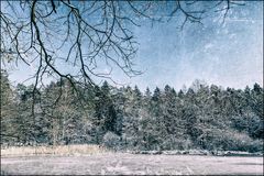 Winterwelt #2