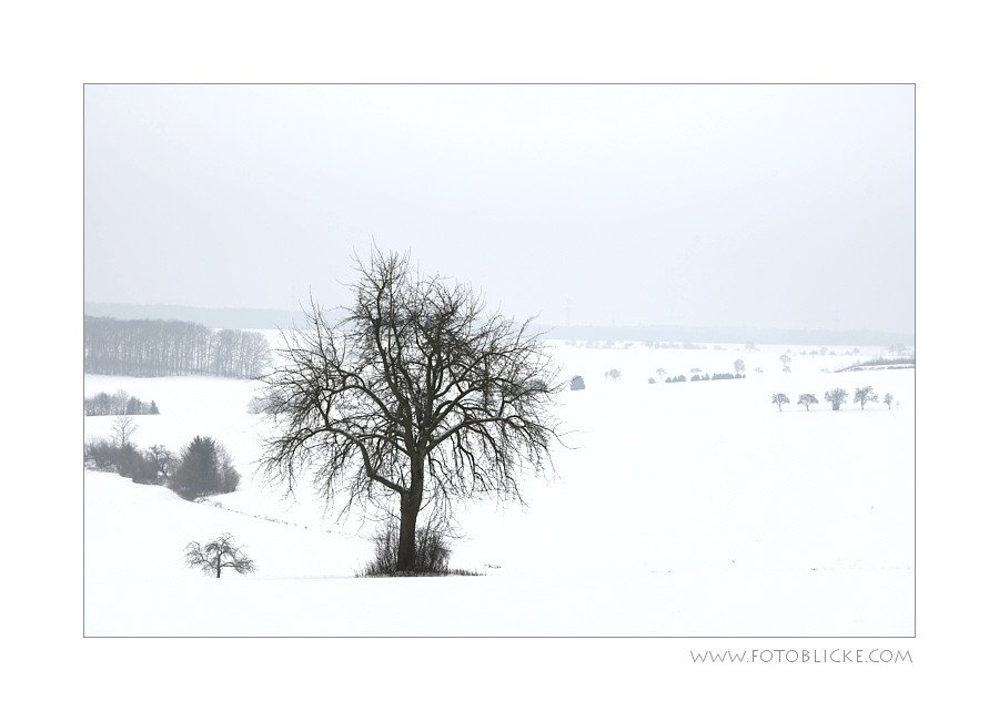 WinterWelt #3