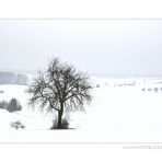 WinterWelt #3