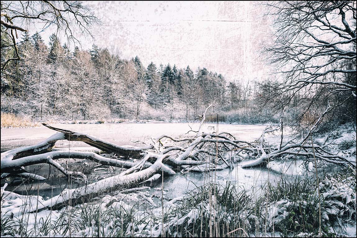 Winterwelt #4