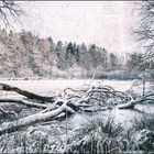 Winterwelt #4