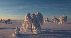 Winterwelt