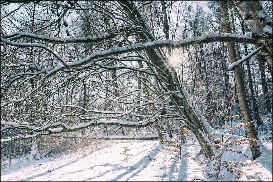 Winterwelt #5