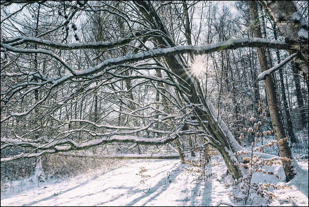 Winterwelt #5