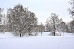 Winterwelt