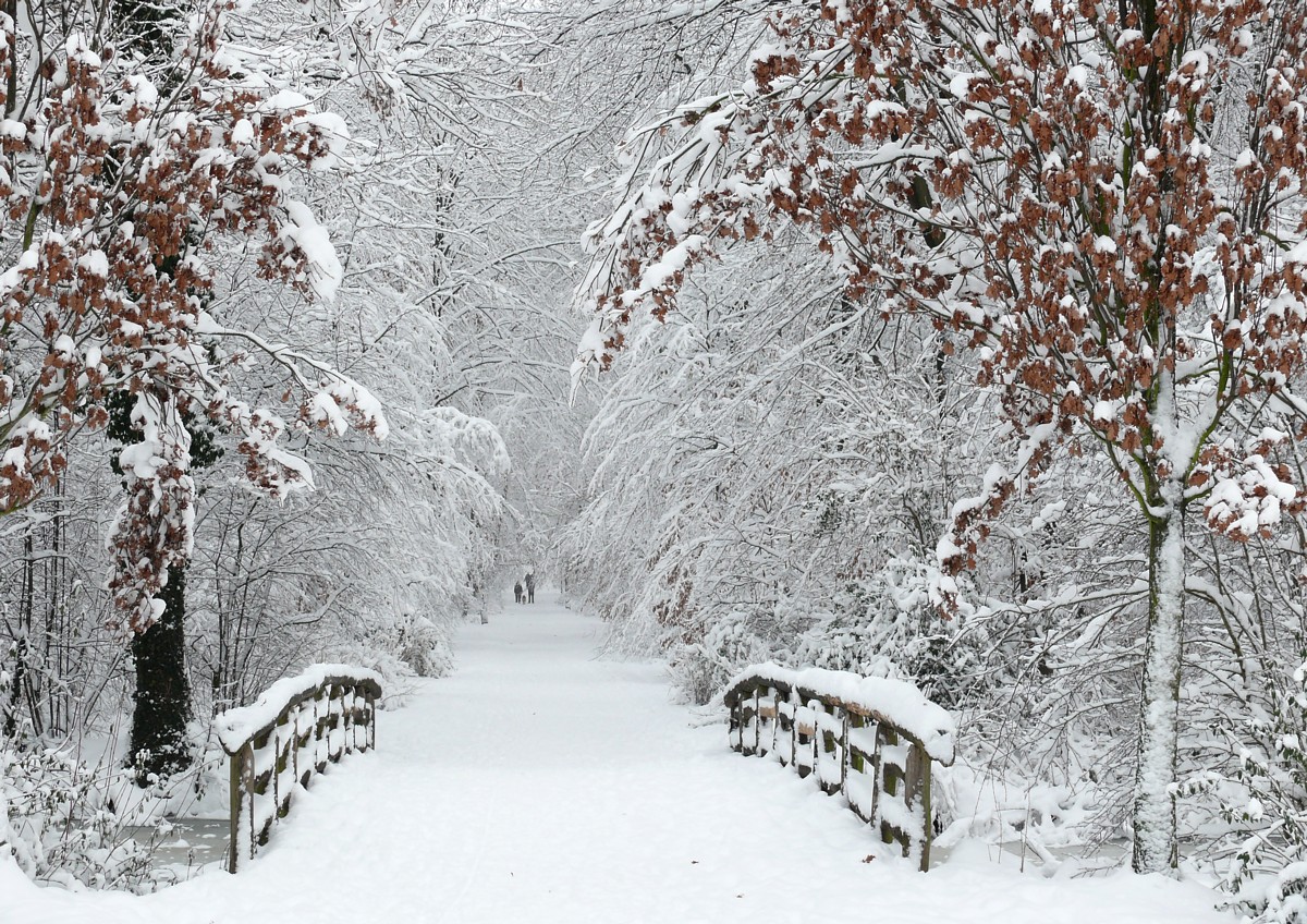 Winterwelt