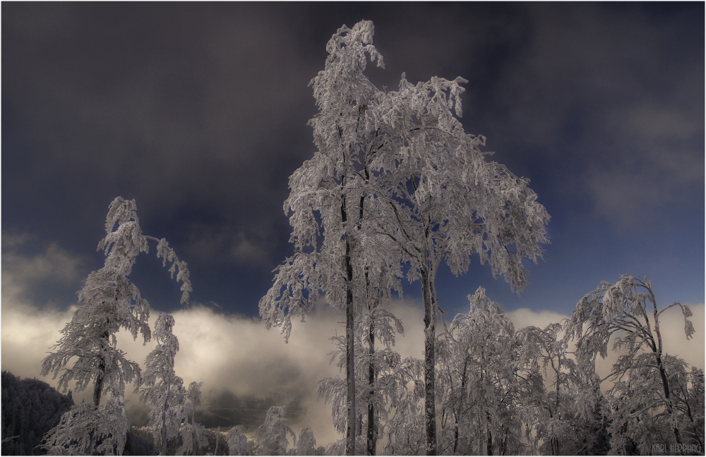 Winterwelt 9