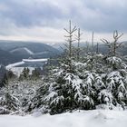 Winterwelt am Kienberg