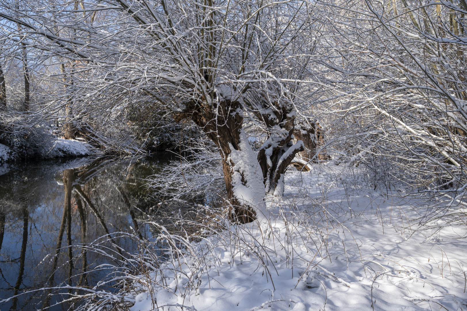 Winterwelt an der Oker #1