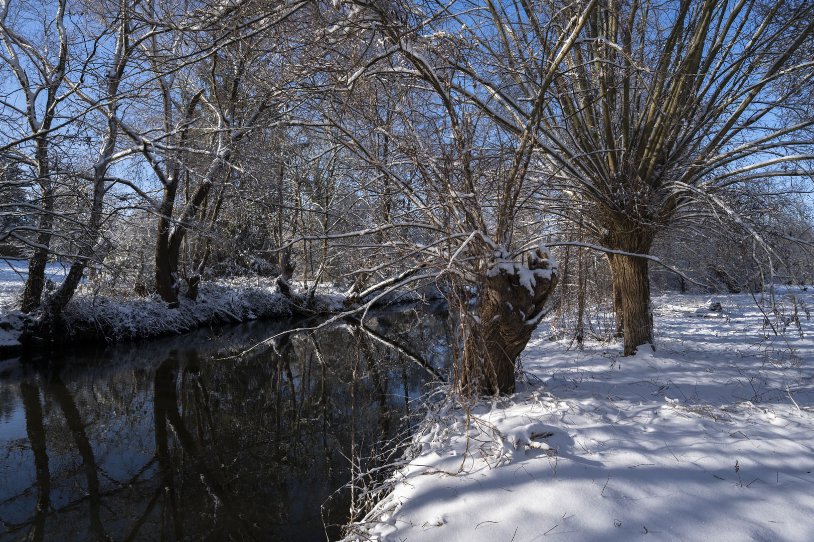 Winterwelt an der Oker #2