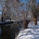 Winterwelt an der Oker #2