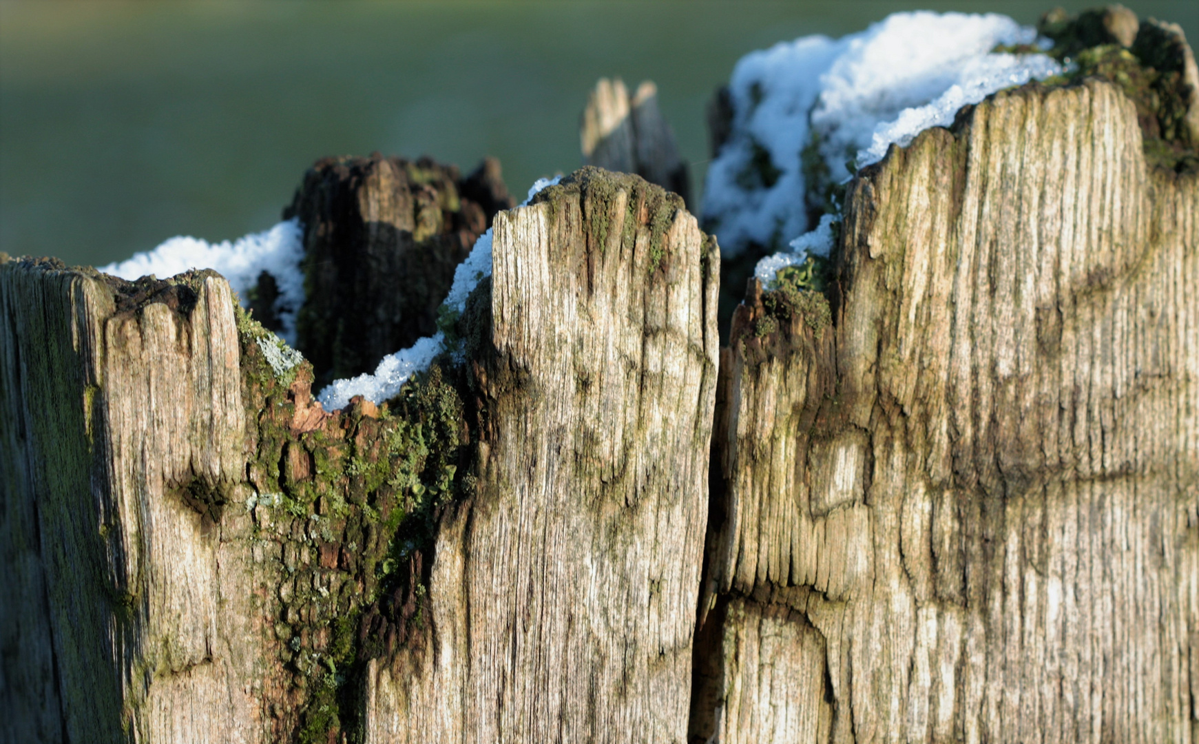 Winterwelt auf einem Zaunpfahl