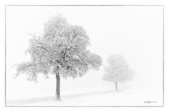 Winterwelt bei Grünbach im Vogtland - Winter 2021