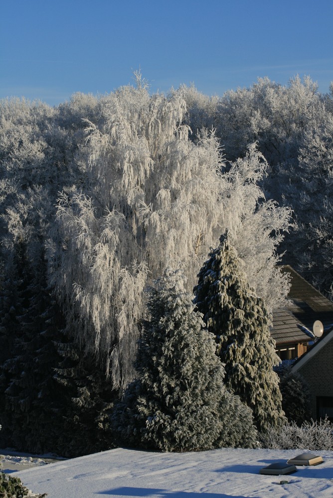 Winterwelt