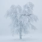 Winterwelt I