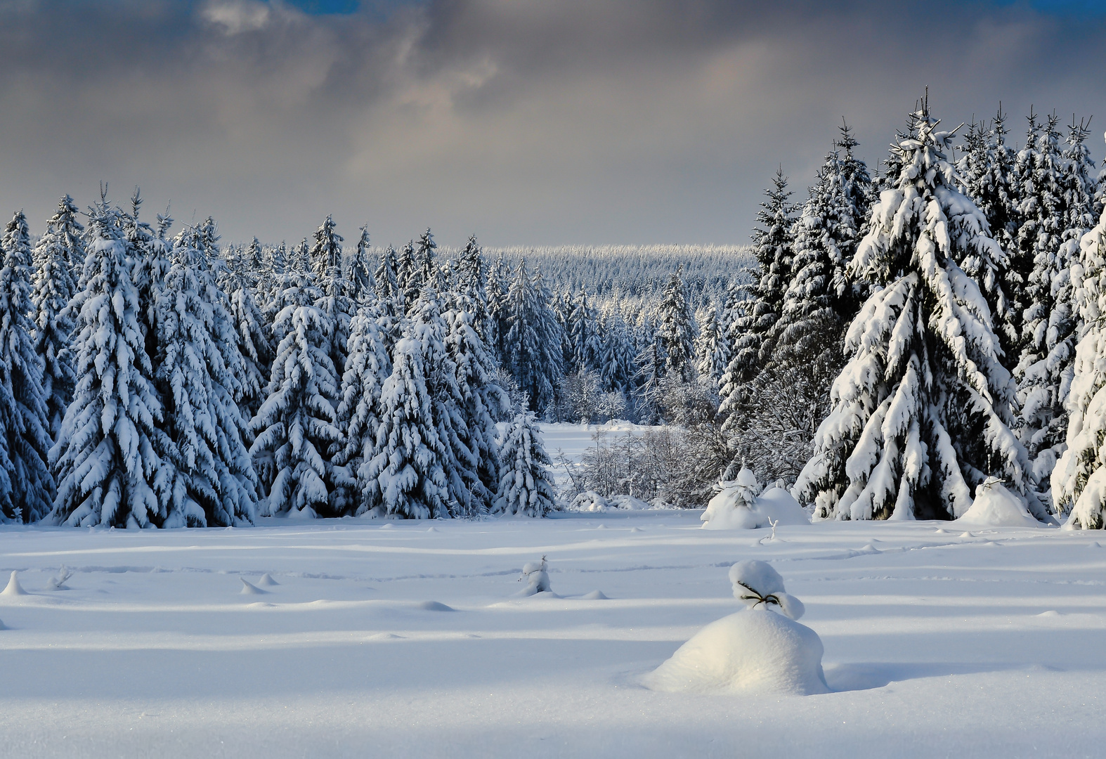 Winterwelt im Harz