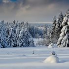 Winterwelt im Harz