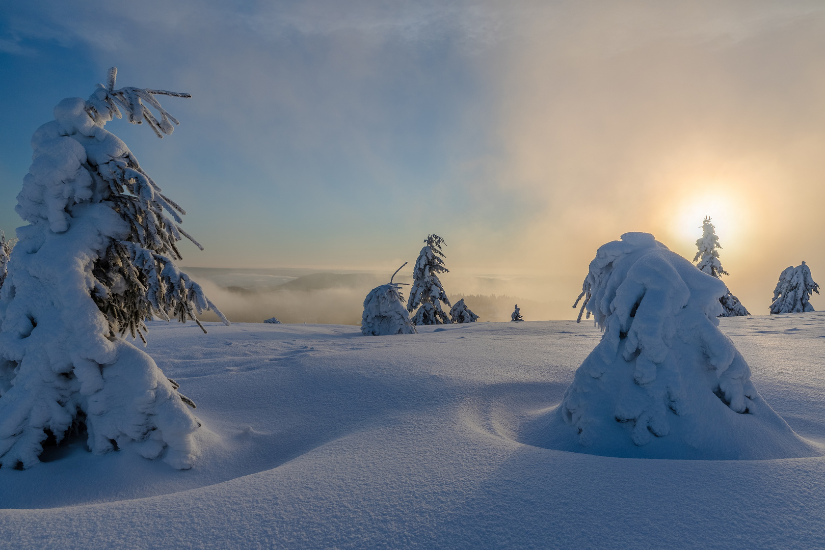 Winterwelt im Schwarzwald