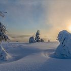 Winterwelt im Schwarzwald