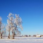 Winterwelt in Estland