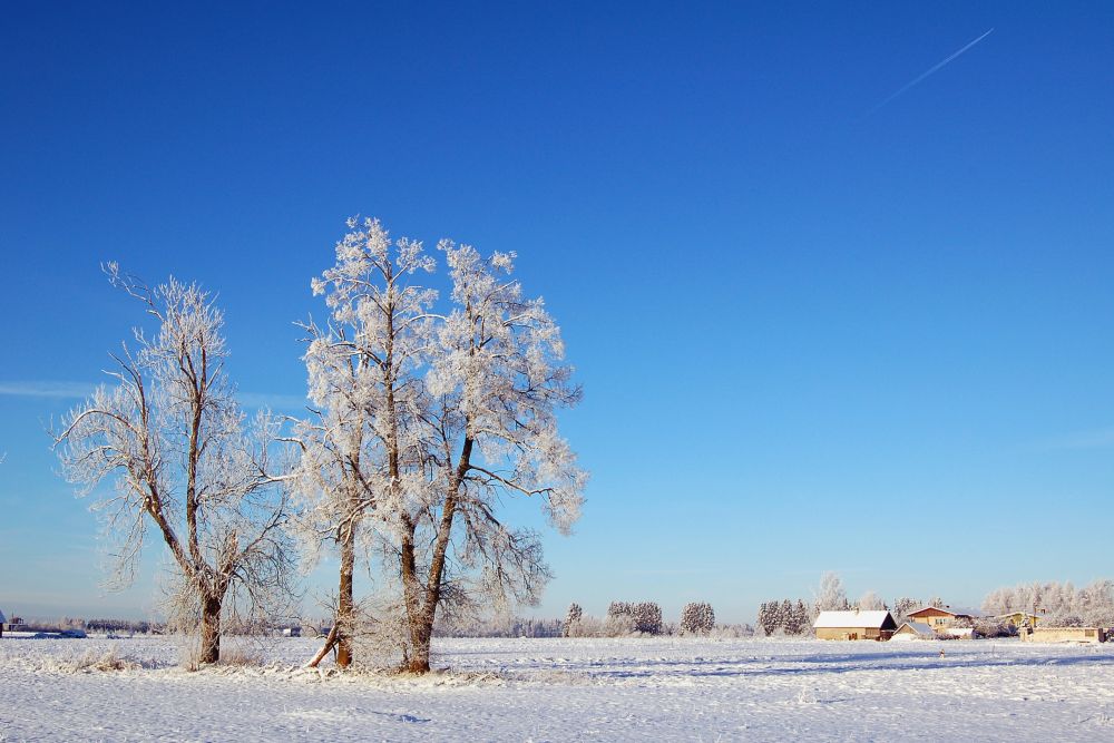 Winterwelt in Estland
