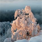 Winterwelt mit Zschirnstein