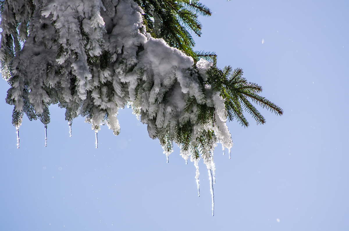 Winterwelt von kurzer Dauer