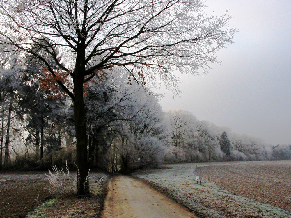 Winterwelten