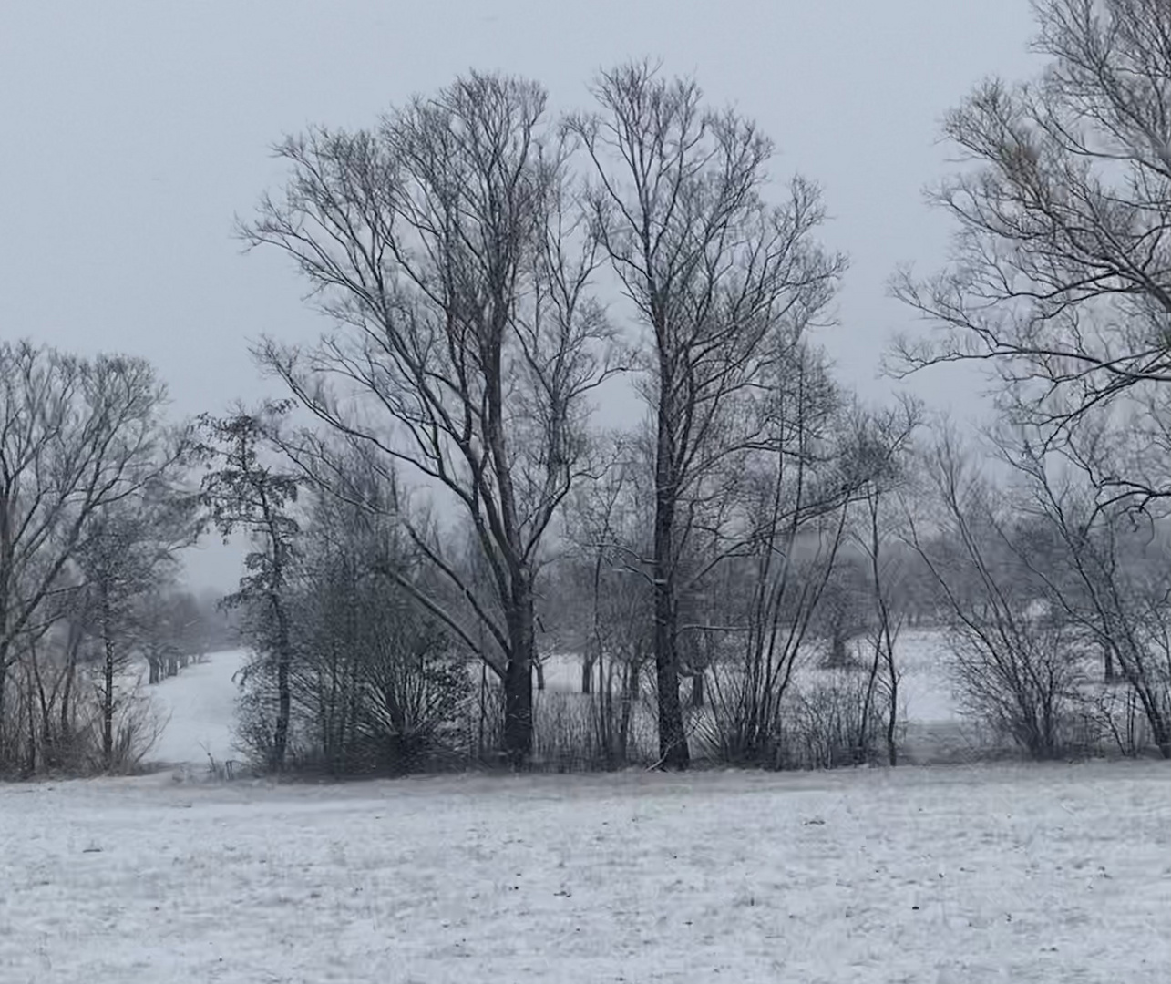 Winterwelten kalt und schön 