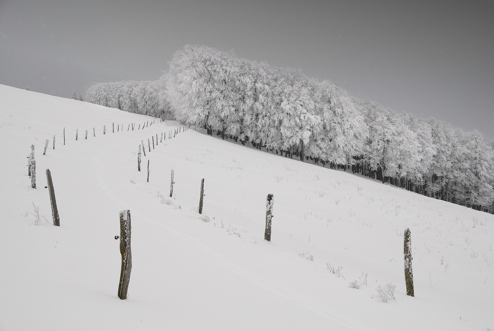 Winterwetter