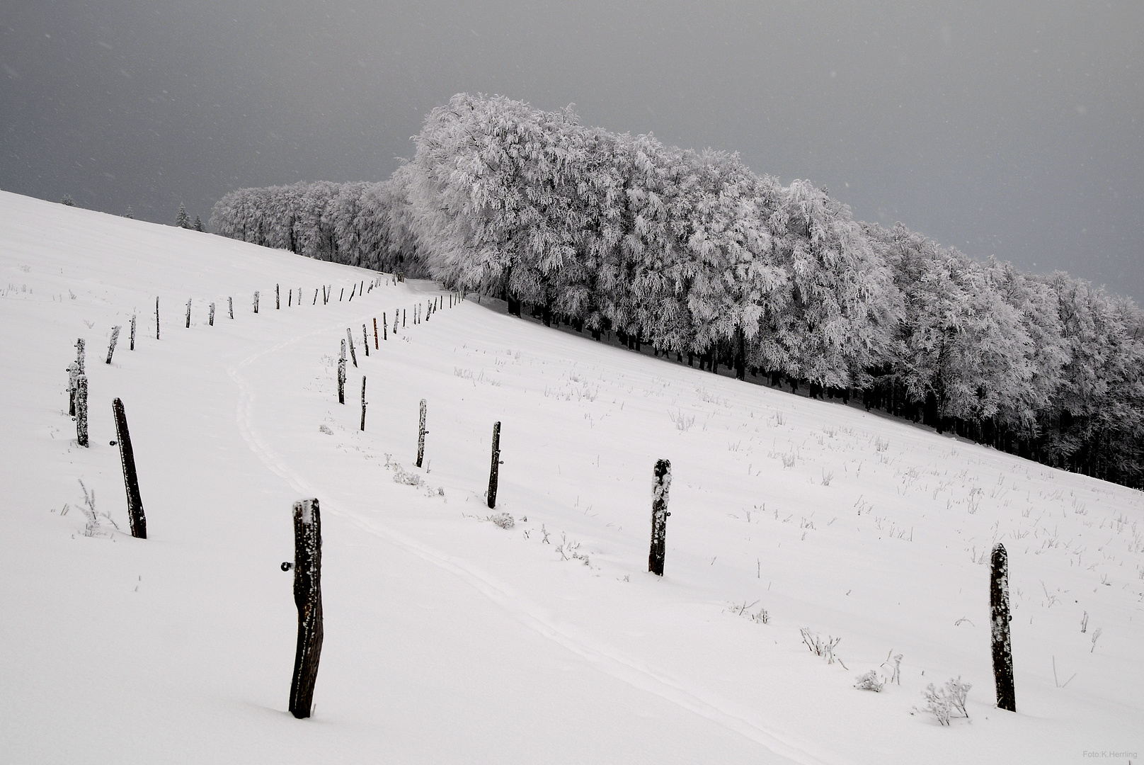 Winterwetter