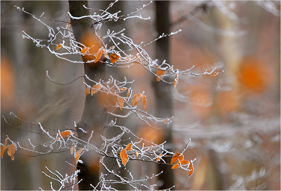 Winterwetter ...