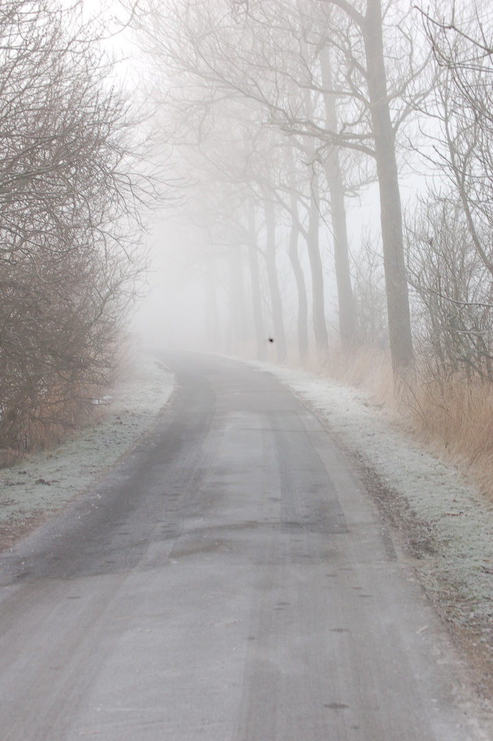 Winterwetter