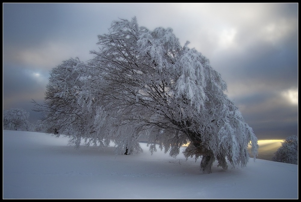 Winterwetter 3