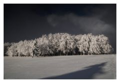 Winterwetter