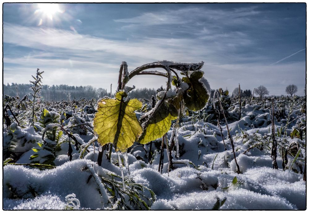 Winterwetter