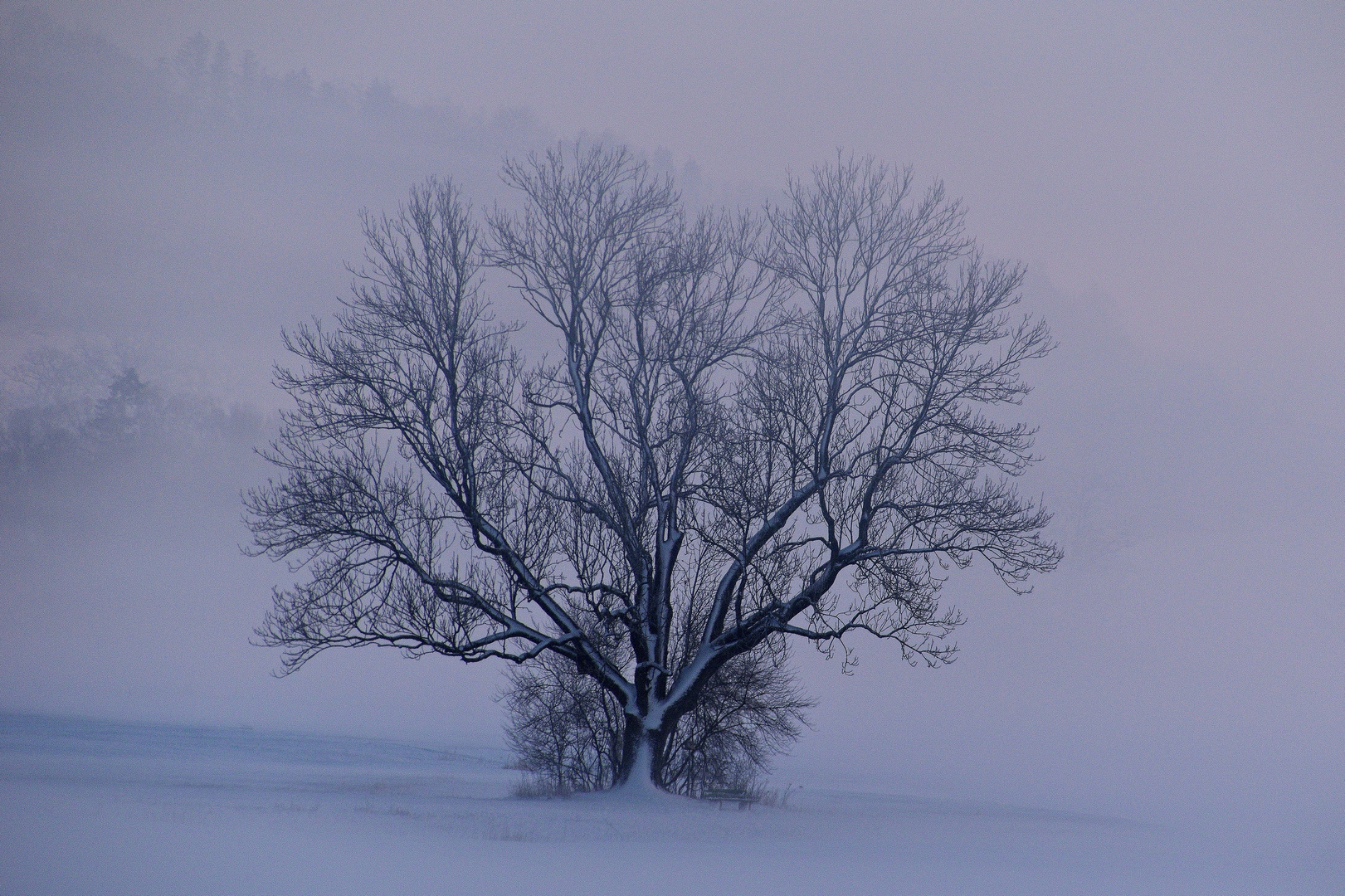 Winterwetter