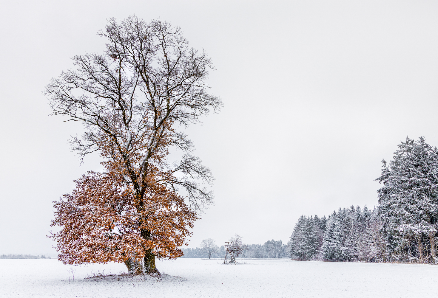 winterwetter ...