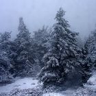 Winterwetter auf dem Brocken