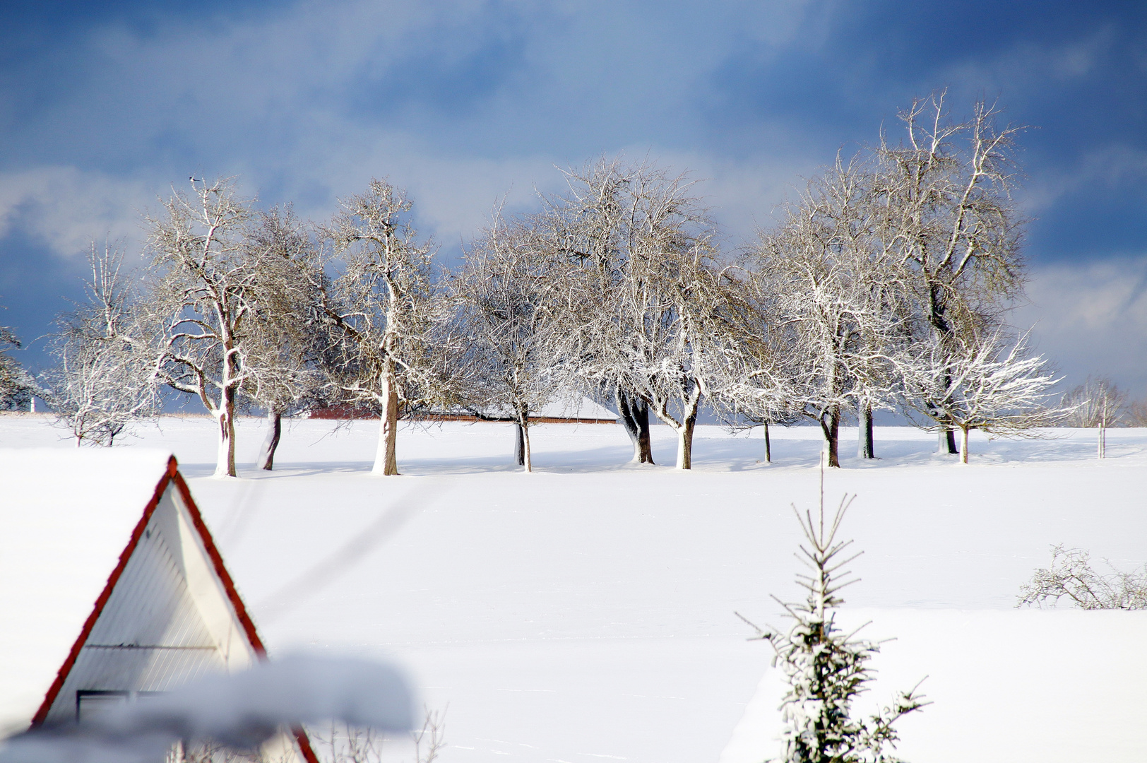 Winterwetter