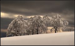 Winterwetter