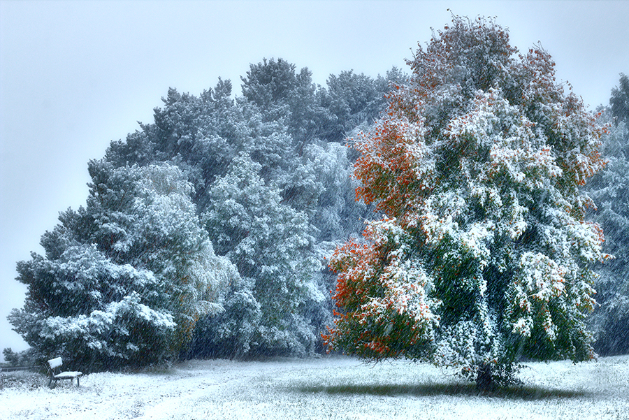 Winterwetter