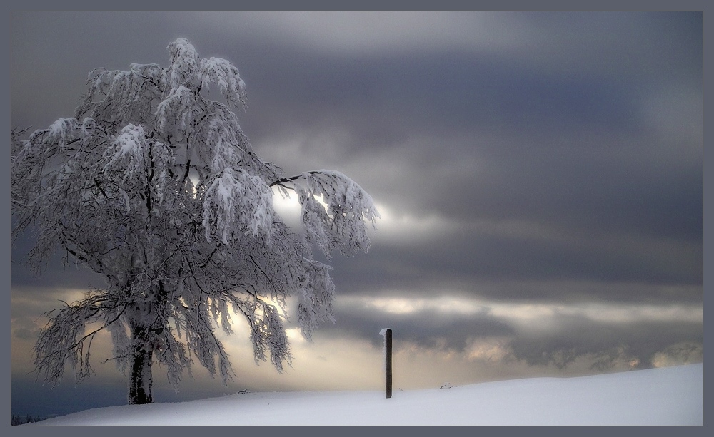 Winterwetter