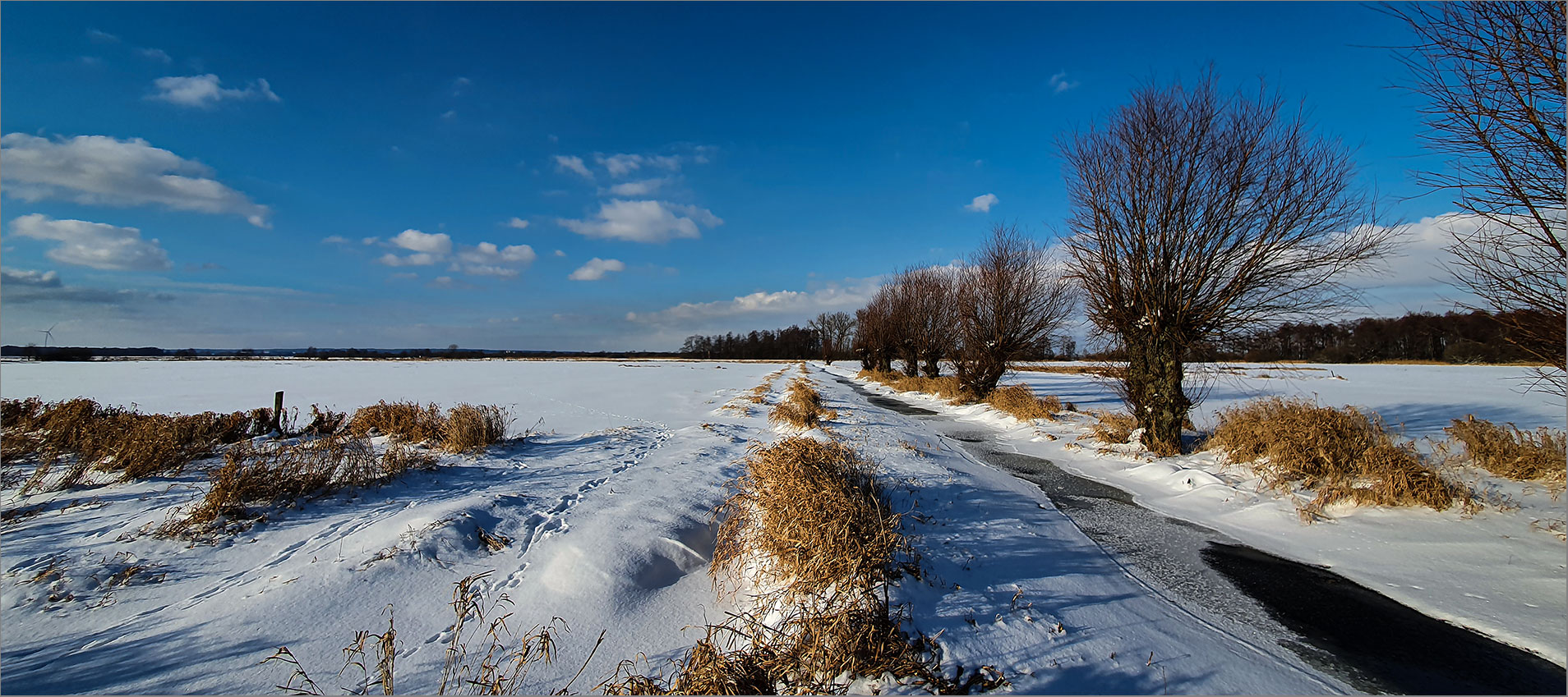 Winterwetter im Moor   . . .