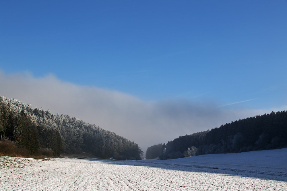 Winterwetter mit Nebel und Raureif