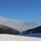 Winterwetter mit Nebel und Raureif