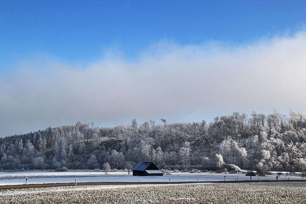 Winterwetter vom Feinsten